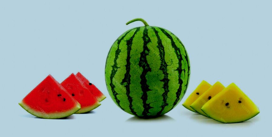 Bukan Sulsel, Ternyata Ini Daerah Penghasil Semangka Terbesar di Indonesia